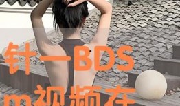 bdsm在线视频,在线视频揭秘激情与束缚的诱惑